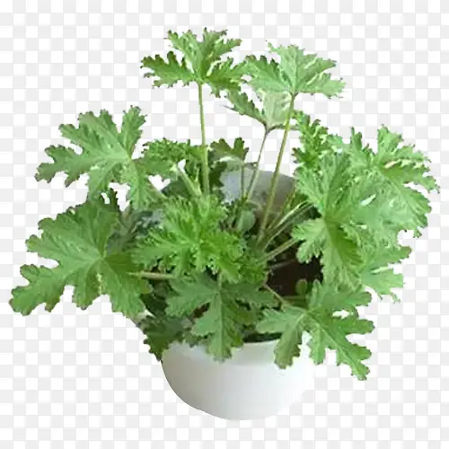 ���ò�����-������