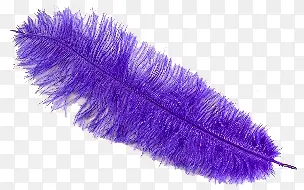 ��ë����ز�ֽ����-������