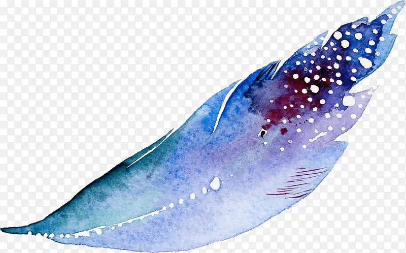 �ֻ���ë-������