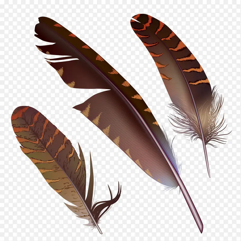 ʸ����ë-������