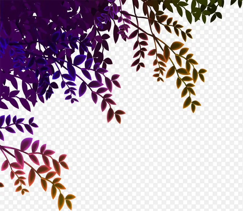 ��ɫҶ��-������