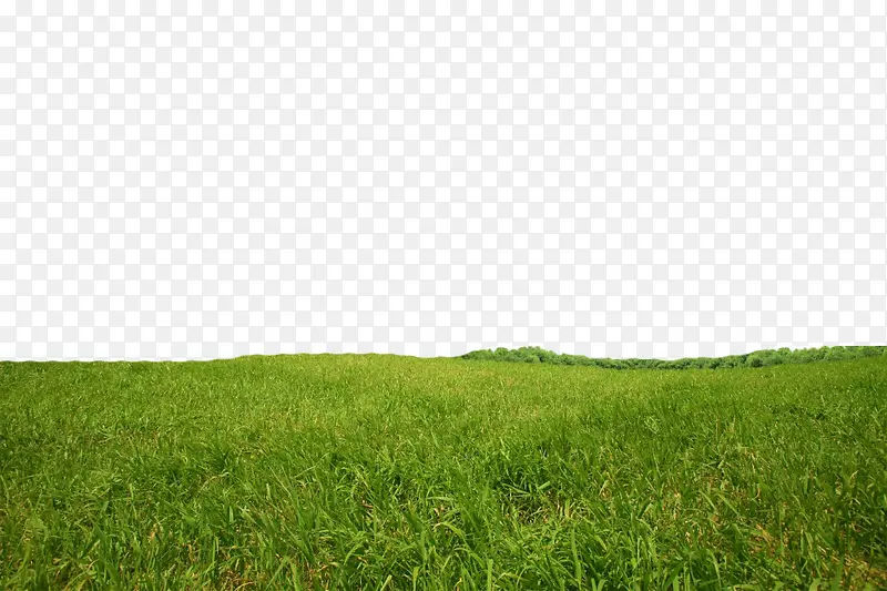 ���̵�С��-������