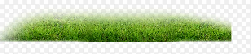 Ψ�������ݵزݱ�-������