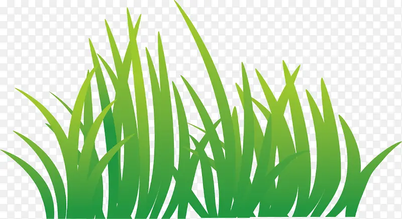 �̲ݽ���װ�μٲ�-������