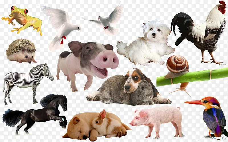 ����ϼ�-������