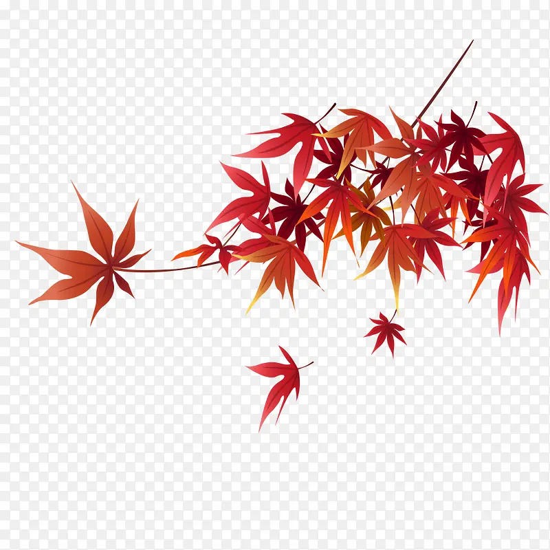 ��ɫ�Ŀ�ͨ��Ҷ-������