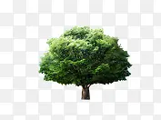 ����-������