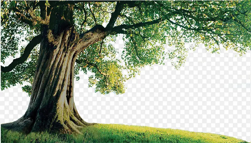 �������-������