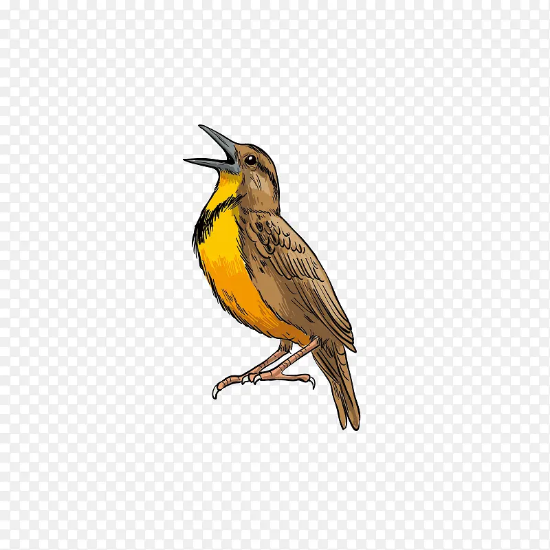 ���-������