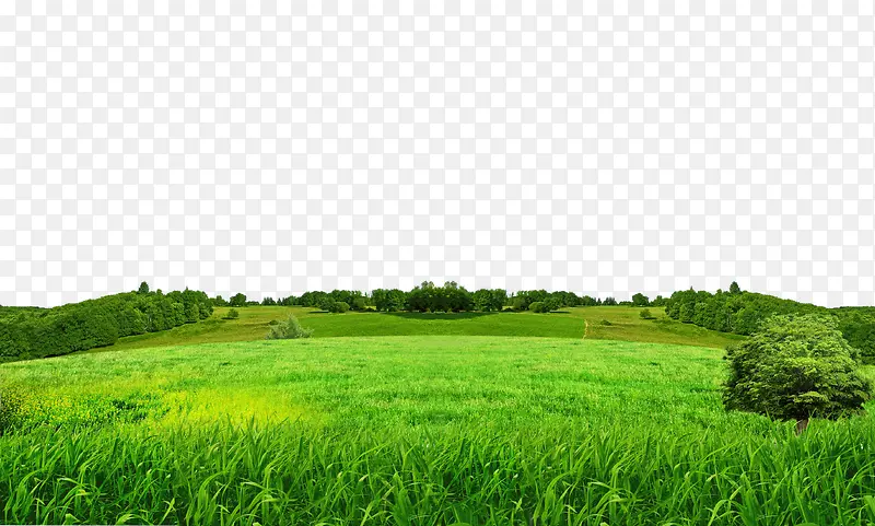 ��ɫ�ݵ�-������