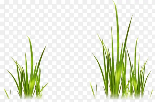 �۲�-������