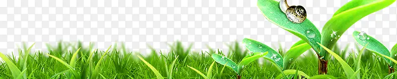 �ݴ�-������