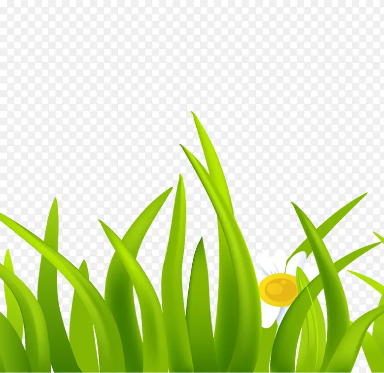 �̲�ͼ��-������