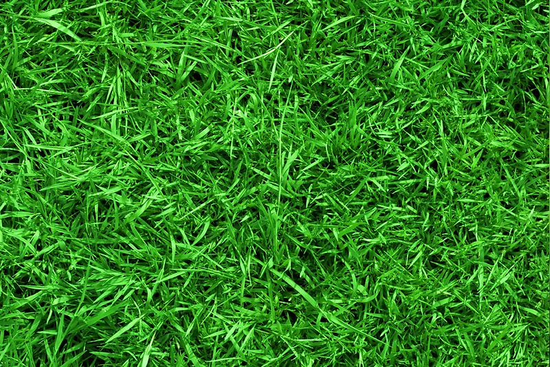 �۲ݵر���-������