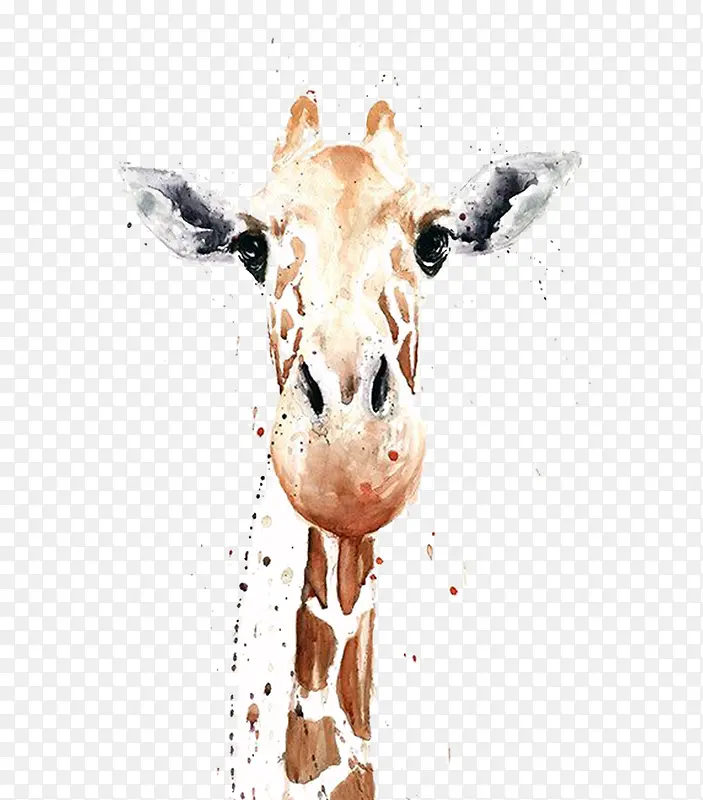 ��ٿ�ͨ�ֻ泤��¹װ��-������