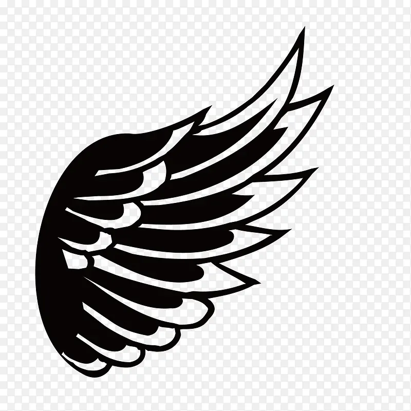 ��ɫ���-������