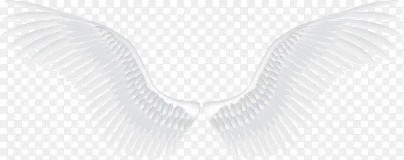 ��ɫ��ʹ���-������