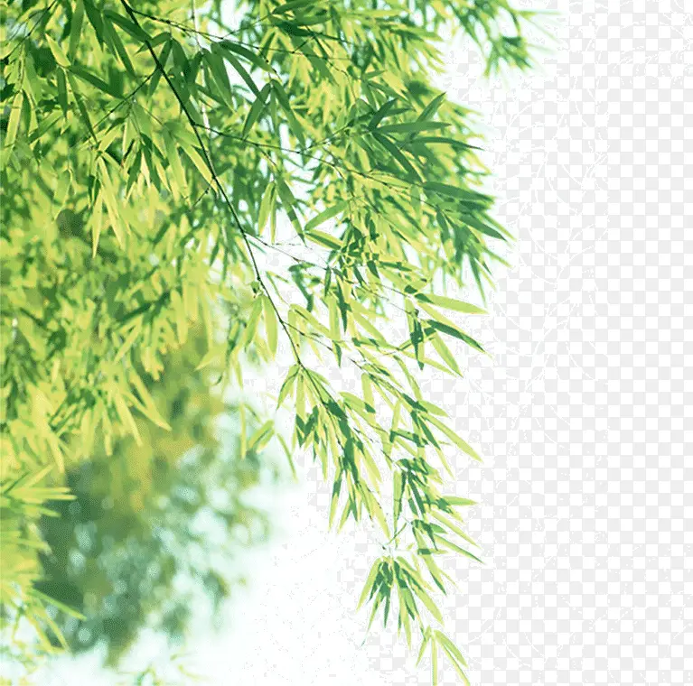 ʢ���Ĺ���-������