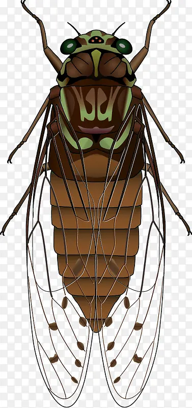 Ư����֪��ʸ���ز�-������