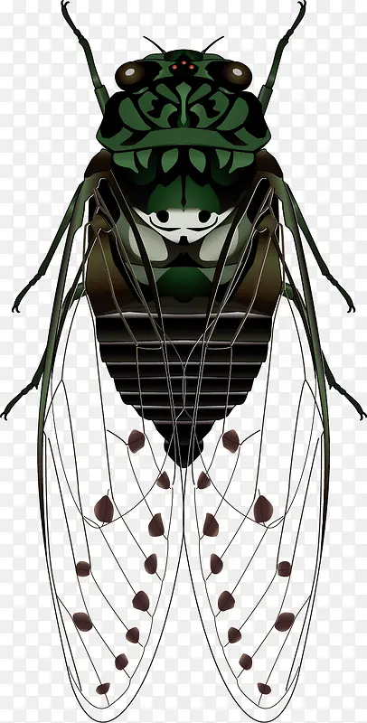 Ư������ɫ���Ʋ�ʸ���ز�-������