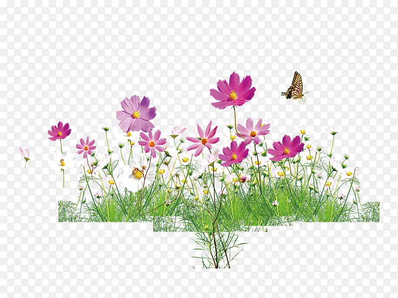 ����-������