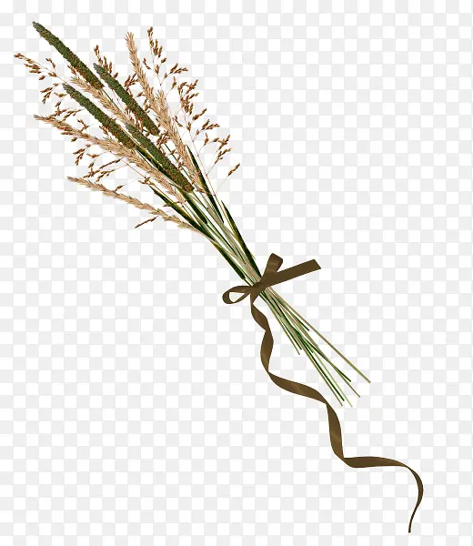 ��β�Ͳ�-������