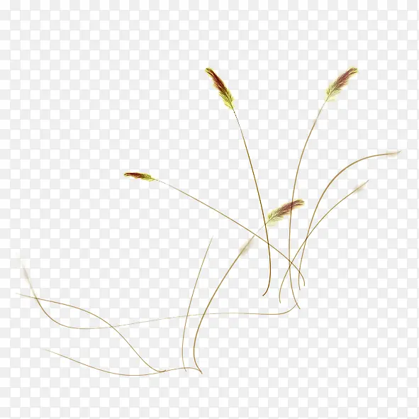 ��β��-������