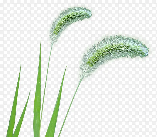 ��β��-������