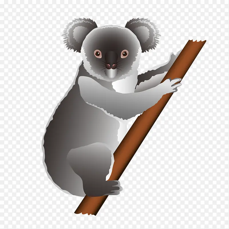 �ֻ濼��PNG����-������