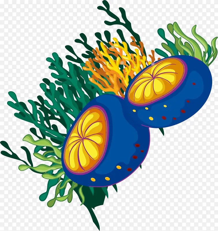 ���纣����ɺ������-������