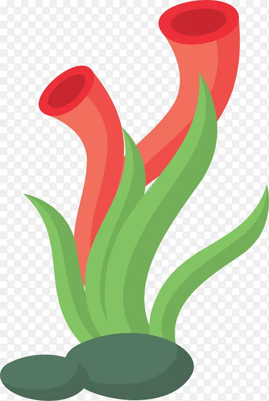 ��������ɺ������-������