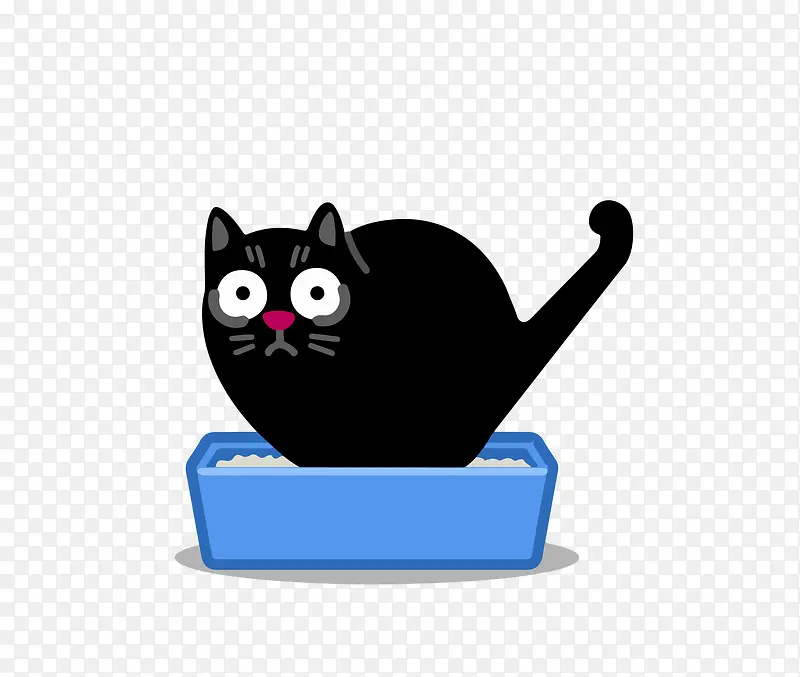 �ɴ��۾���è-������