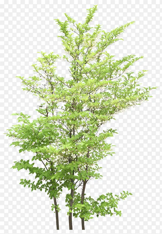 ������Ӱ��������-������