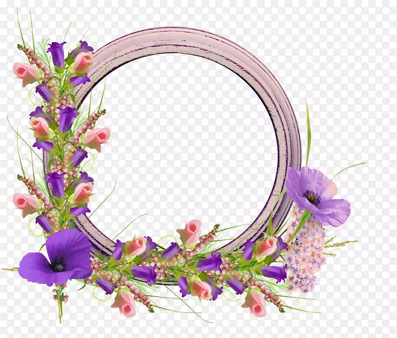 ��򲩿ͼ���������������-�ۺ�ɫ���-������