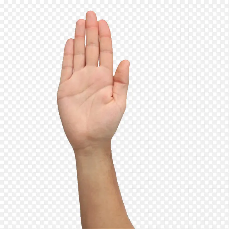 С���°װ׵�����ָPNG-������