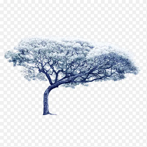 �����Ĵ���-������