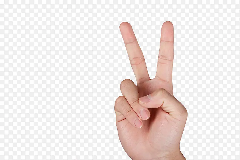 ʤ������-������