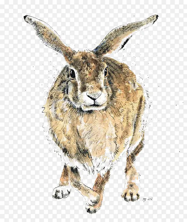 ˮ�ʳ���Ұ��-������