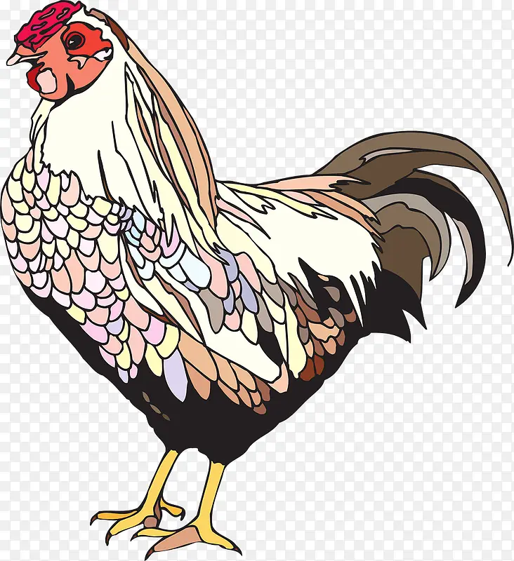 ��ɫ��ĸ��-������