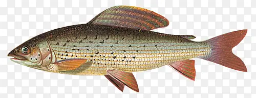 �ڵ�����-������