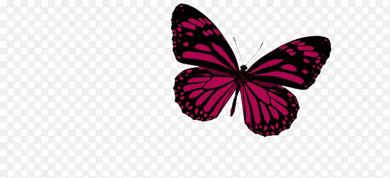 �ڵ���ɫ����-������