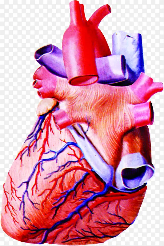 ��ɫ�����ͼ����-������