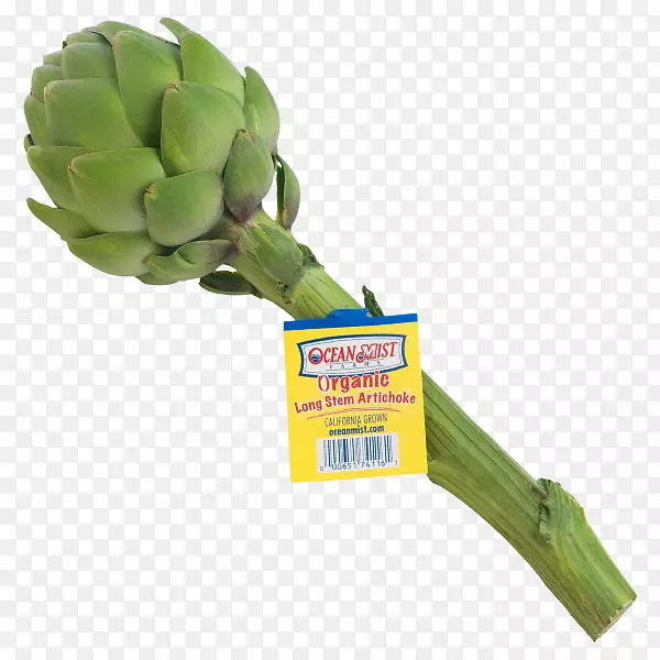 �߲�ֲ��-��-������