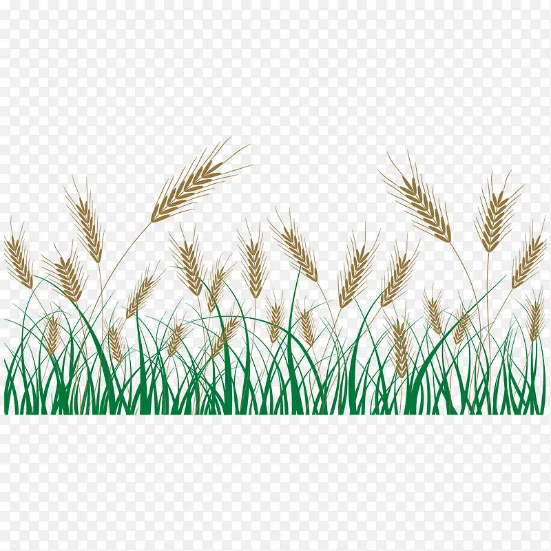 �ֻ湷β�Ͳ�-������