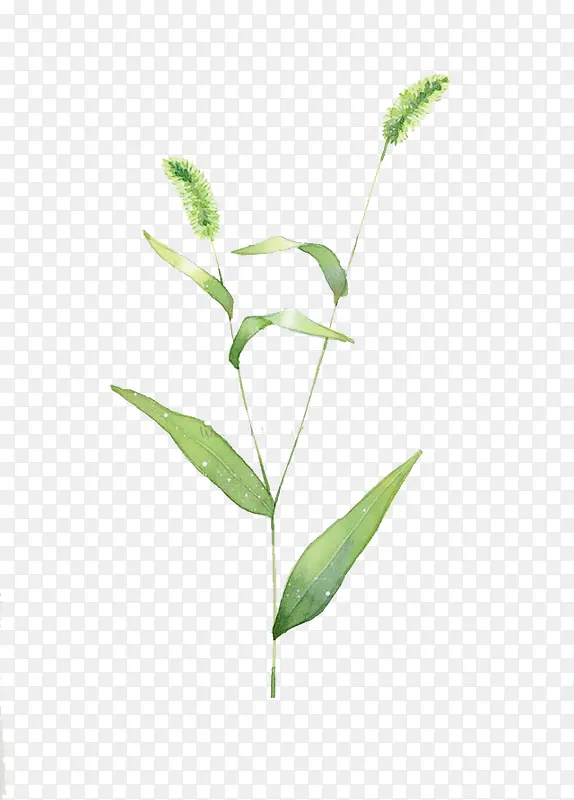 ��β�Ͳ�-������