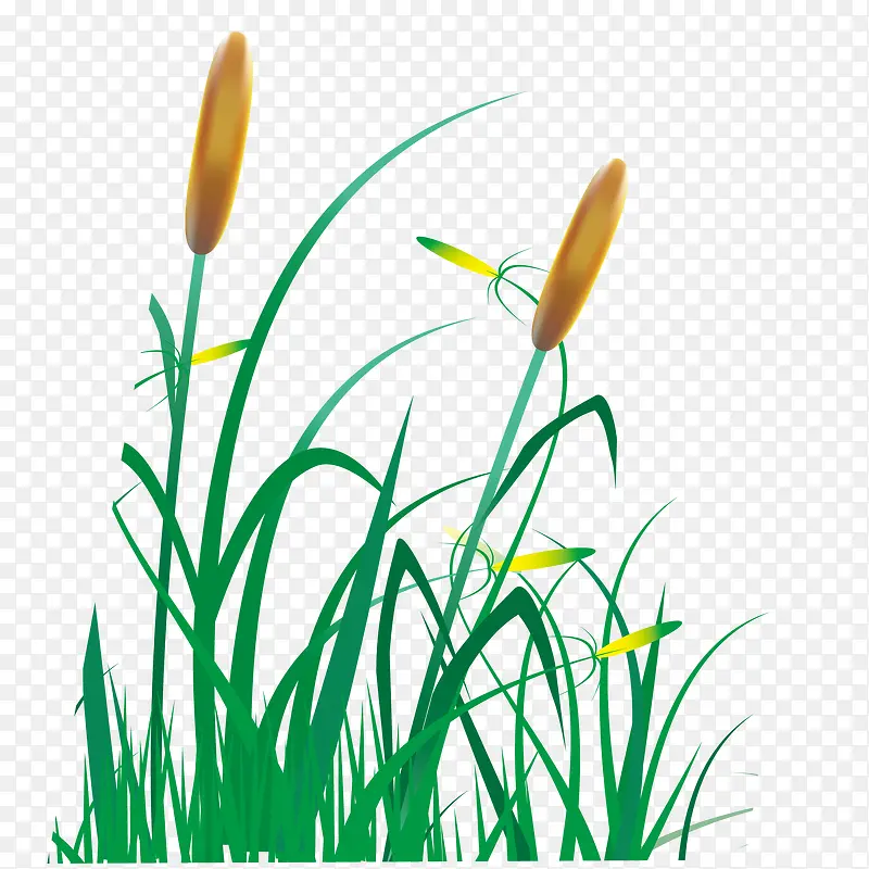 �ֻ湷β�Ͳ�ʸ��ͼ-������