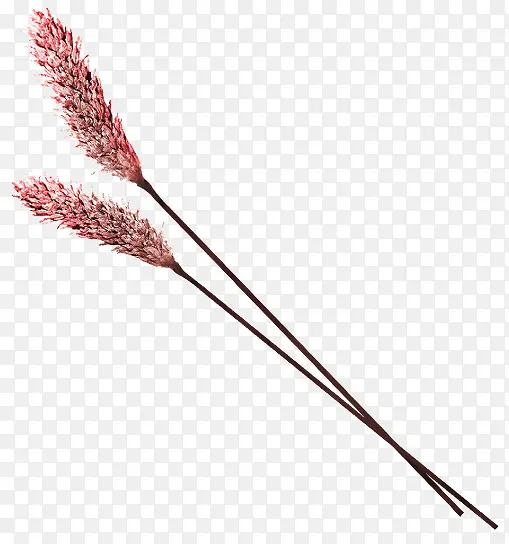 ��ɫ���¹�β�Ͳ�װ��ͼ��-������