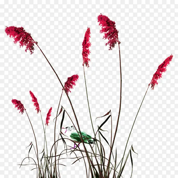 ��ɫ���¹�β�Ͳ�װ��ͼ��-������