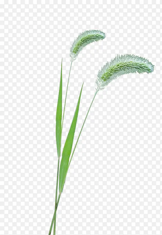 ��β�Ͳ�ͼƬ-������