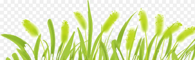 ��β�Ͳݲݴ�-������